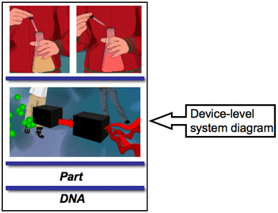 Diagram mapping the arsenic detector to the system and device layers.