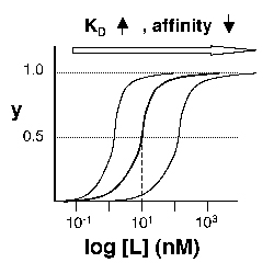 Examples of a simple binding curve and set of semilog binding curves.