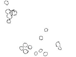 Photo of several live cells, and an outline drawing showing the locations and numbers of cells in the photo.