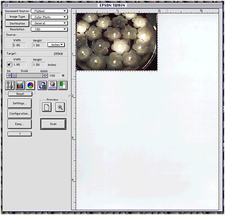 Epson Twain screenshot.