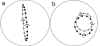 Visualizing the Coriolis effect.