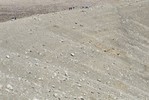 Students hiking on a barren landscape.