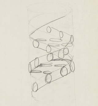 A pencil drawing of a double helix.