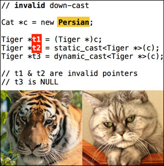 A composite image with C++ code on top, and photographs of a tiger and Persian cat below.