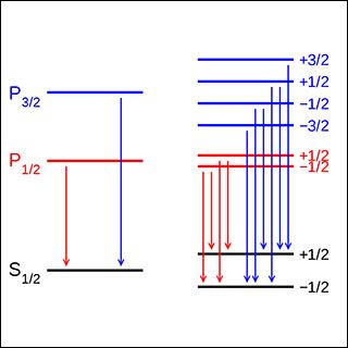 Two sets of horizontal and vertical lines with labels next to the horizontal lines and arrows at the bottom ends of the vertical lines.