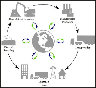 The life cycle of a product.