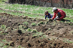 A photo of a man and boy working in a garden.