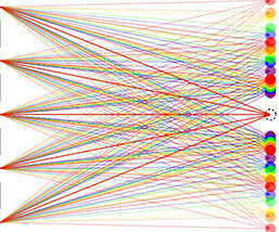 birefringence model