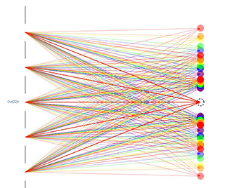 visualization of birefringence