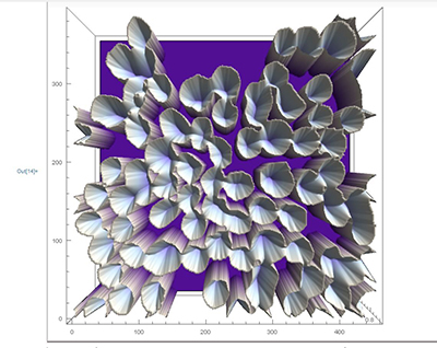 watershed transformation visualization